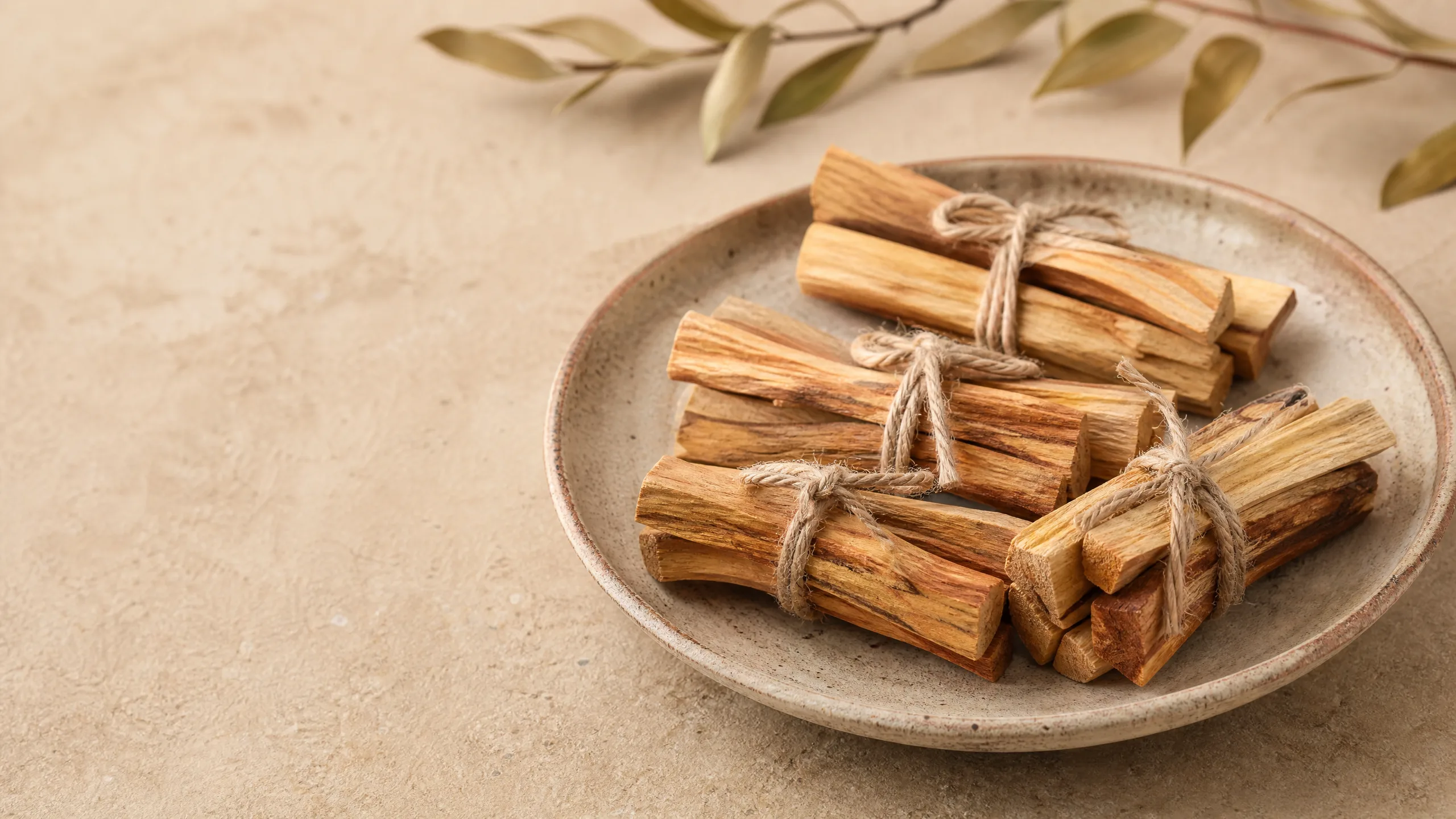 Benefícios do palo santo: paus sobre concha para limpeza energética
